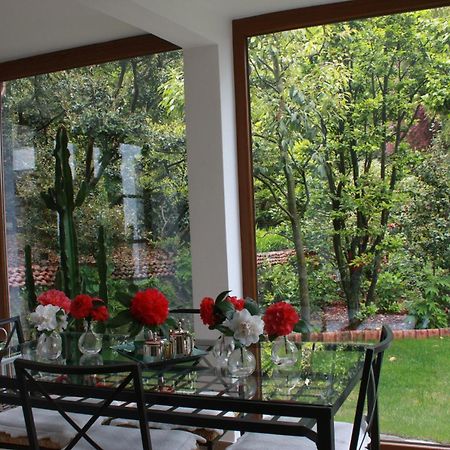 Apartmán La Camelia D'Oro Oggebio Exteriér fotografie