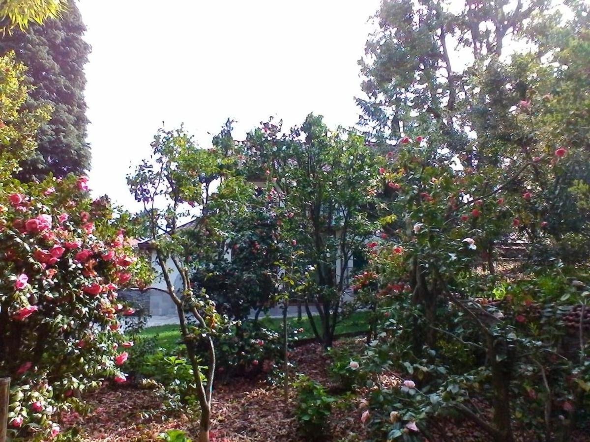 Apartmán La Camelia D'Oro Oggebio Exteriér fotografie