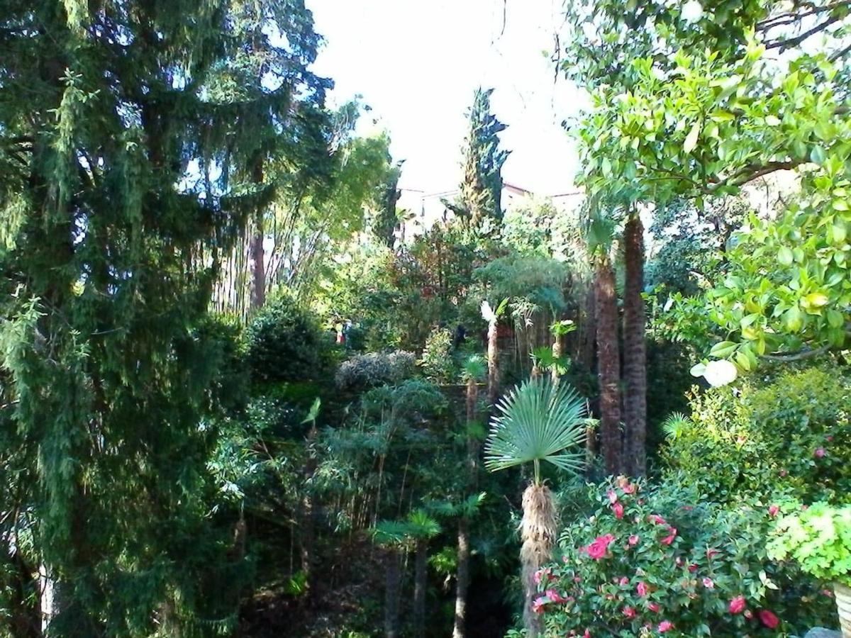 Apartmán La Camelia D'Oro Oggebio Exteriér fotografie