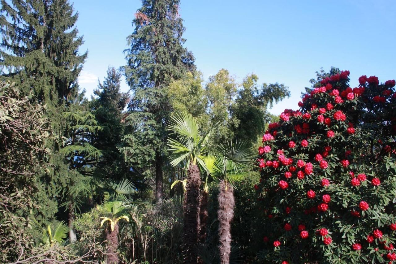 Apartmán La Camelia D'Oro Oggebio Exteriér fotografie