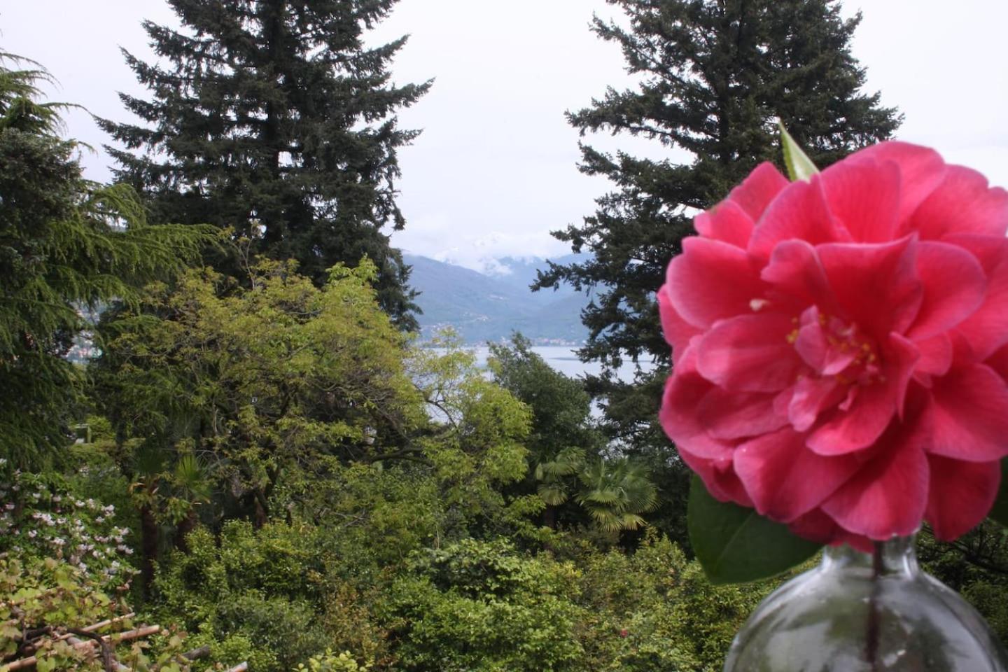 Apartmán La Camelia D'Oro Oggebio Exteriér fotografie